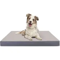 Nobleza Compressible Sponge Huisdierkussen
