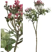 Ptmd Garden bloem pink pieris buds with leaf spray - 35 cm
