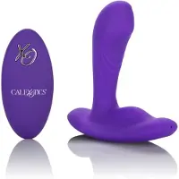 California exotic novelties CalExotics - USB-Oplaadbare Remote Pinpoint Pleaser