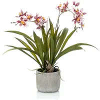 Emerald Kunstplant Oncidium