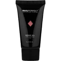 Nail Perfect Sqeasy Gel 60gr