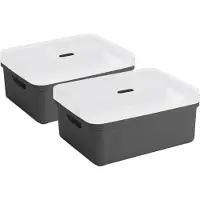 Sunware opbergbox - 2x stuks - 24 liter - antraciet - kunststof - transparante deksel - 45x35x18 cm - Sigma serie