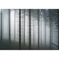Consalnet Fotobehang Bomen in de Mist XXL – posterbehang – 368 x 254 cm – Zwart Wit