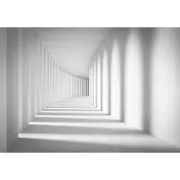 Consalnet Vliesbehang Gallerij Modern XXL – 3D Effect – posterbehang – 368 x 254 cm – Zwart Wit