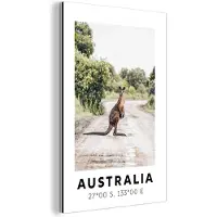 MuchoWow Wanddecoratie Metaal - Aluminium Schilderij Industrieel - Australië - Kangoeroe - Natuur - 60x90 cm - Dibond - Foto op aluminium - Industriële muurdecoratie - Voor de woonkamer/slaapkamer