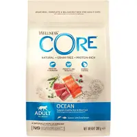 Wellness Core Kattenvoer Original Zalm - Tonijn 300 gr