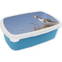 MuchoWow Broodtrommel Blauw - Lunchbox - Brooddoos - Eenhoorn op heuveltop - 18x12x6 cm - Kinderen - Jongen