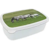 MuchoWow Broodtrommel Wit - Lunchbox - Brooddoos - Paarden - Dieren - Gras - 18x12x6 cm - Volwassenen