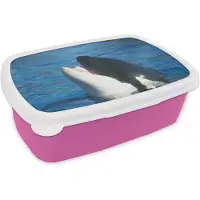 MuchoWow Broodtrommel Roze - Lunchbox - Brooddoos - Orka bij wateroppervlak - 18x12x6 cm - Kinderen - Meisje
