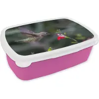 MuchoWow Broodtrommel Roze - Lunchbox - Brooddoos - Kolibrie - Bloem - Rood - 18x12x6 cm - Kinderen - Meisje