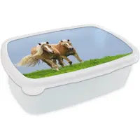 MuchoWow Broodtrommel Wit - Lunchbox - Brooddoos - Paarden - Gras - Lucht - 18x12x6 cm - Volwassenen
