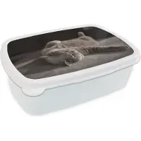 MuchoWow Broodtrommel Wit - Lunchbox - Brooddoos - Dier - Poes - Grijs - 18x12x6 cm - Volwassenen