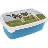 MuchoWow Broodtrommel Blauw - Lunchbox - Brooddoos - Koe - Friesland - Nederland - 18x12x6 cm - Kinderen - Jongen