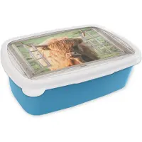 MuchoWow Broodtrommel Blauw - Lunchbox - Brooddoos - Schotse hooglander - Doorkijk - Raam - Dier - 18x12x6 cm - Kinderen - Jongen