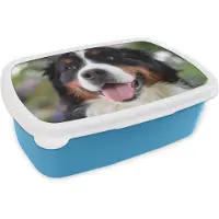MuchoWow Broodtrommel Blauw - Lunchbox - Brooddoos - Vooraanzicht van het hoofd van de Berner Sennenhond - 18x12x6 cm - Kinderen - Jongen