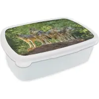 MuchoWow Broodtrommel Wit - Lunchbox - Brooddoos - Wolf - Bruin - Bos - 18x12x6 cm - Volwassenen