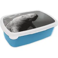 MuchoWow Broodtrommel Blauw - Lunchbox - Brooddoos - Onderwaterfoto van een Lamantijn - zwart wit - 18x12x6 cm - Kinderen - Jongen