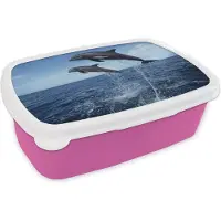 MuchoWow Broodtrommel Roze - Lunchbox - Brooddoos - Dolfijn - Zee - Dier - 18x12x6 cm - Kinderen - Meisje