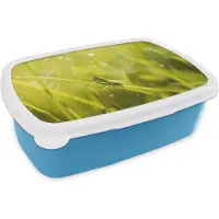 MuchoWow Broodtrommel Blauw - Lunchbox - Brooddoos - Sprinkhaan - Gras - Groen - 18x12x6 cm - Kinderen - Jongen