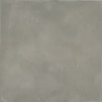 Maxaro Downtown Grijs Vloer-/Wandtegel 60,5x60,5 cm | Grijs Uni | Vloertegels Badkamer | Badkamer Wandtegels Kopen | Badkamertegels