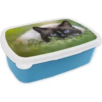 MuchoWow Broodtrommel Blauw - Lunchbox - Brooddoos - Kat - Gras - Portret - 18x12x6 cm - Kinderen - Jongen