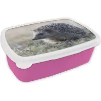 MuchoWow Broodtrommel Roze - Lunchbox - Brooddoos - Egel - Dier - Gras - 18x12x6 cm - Kinderen - Meisje