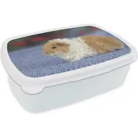 MuchoWow Broodtrommel Wit - Lunchbox - Brooddoos - Texel cavia - 18x12x6 cm - Volwassenen