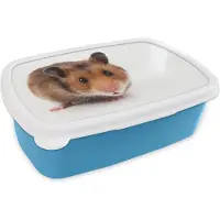 MuchoWow Broodtrommel Blauw - Lunchbox - Brooddoos - Nieuwsgierige hamster - 18x12x6 cm - Kinderen - Jongen
