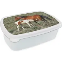 MuchoWow Broodtrommel Wit - Lunchbox - Brooddoos - Paarden - Veulen - Bloemen - 18x12x6 cm - Volwassenen