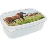 MuchoWow Broodtrommel Wit - Lunchbox - Brooddoos - Kudde IJslander paarden in groen gras - 18x12x6 cm - Volwassenen