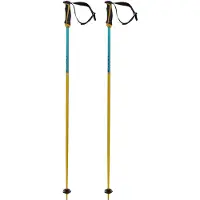 Völkl Phantastick 16 Mm Stokken