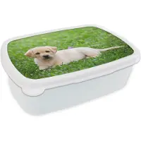 MuchoWow Broodtrommel Wit - Lunchbox Labrador Puppy in gras - Brooddoos 18x12x6 cm - Brood lunch box - Broodtrommels voor kinderen en volwassenen
