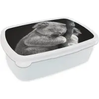 MuchoWow Broodtrommel Wit - Lunchbox - Brooddoos - Koala - Slapen - Zwart - Kids - Jongens - Meiden - 18x12x6 cm - Volwassenen