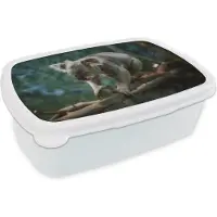 MuchoWow Broodtrommel Wit - Lunchbox - Brooddoos - Koala - Boom - Klimmen - Kids - Jongens - Meiden - 18x12x6 cm - Volwassenen