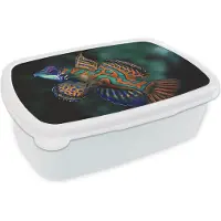 MuchoWow Broodtrommel Wit - Lunchbox - Brooddoos - Vis - Zee - Oranje - 18x12x6 cm - Volwassenen