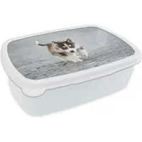 MuchoWow Broodtrommel Wit - Lunchbox - Brooddoos - Husky puppy rent over straat - 18x12x6 cm - Volwassenen