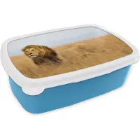 MuchoWow Broodtrommel Blauw - Lunchbox - Brooddoos - Leeuwen - Gras - Afrika - 18x12x6 cm - Kinderen - Jongen