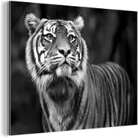 MuchoWow Wanddecoratie Metaal - Aluminium Schilderij Industrieel - Tijger - Jungle - Zwart - Wit - 80x60 cm - Dibond - Foto op aluminium - Industriële muurdecoratie - Voor de woonkamer/slaapkamer
