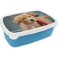 MuchoWow Broodtrommel Blauw - Lunchbox - Brooddoos - Golden Retriever pup met strik - 18x12x6 cm - Kinderen - Jongen