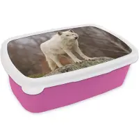 MuchoWow Broodtrommel Roze - Lunchbox - Brooddoos - Wolf - Steen - Wit - 18x12x6 cm - Kinderen - Meisje
