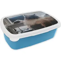 MuchoWow Broodtrommel Blauw - Lunchbox - Brooddoos - Een rustende Ragdoll kat - 18x12x6 cm - Kinderen - Jongen