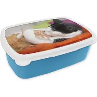 MuchoWow Broodtrommel Blauw - Lunchbox - Brooddoos - Katten - Knuffel - Dierendag - 18x12x6 cm - Kinderen - Jongen