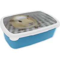 MuchoWow Broodtrommel Blauw - Lunchbox - Brooddoos - Kleine cavia - 18x12x6 cm - Kinderen - Jongen