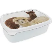 MuchoWow Broodtrommel Wit - Lunchbox - Brooddoos - Lama - Dier - Vacht - 18x12x6 cm - Volwassenen