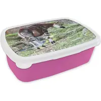 MuchoWow Broodtrommel Roze - Lunchbox - Brooddoos - Okapi in de natuur - 18x12x6 cm - Kinderen - Meisje