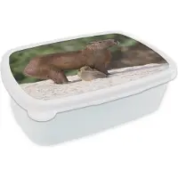 MuchoWow Broodtrommel Wit - Lunchbox - Brooddoos - Twee capibara's voeden zich van hun moeder op een zandbank aan de rivier - 18x12x6 cm - Volwassenen