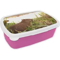 MuchoWow Broodtrommel Roze - Lunchbox - Brooddoos - Een Capibara tussen het hoge riet - 18x12x6 cm - Kinderen - Meisje
