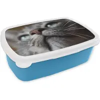 MuchoWow Broodtrommel Blauw - Lunchbox - Brooddoos - Kat - Neus - Snorharen - 18x12x6 cm - Kinderen - Jongen