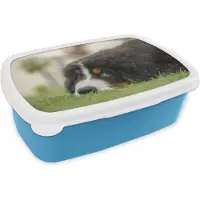MuchoWow Broodtrommel Blauw - Lunchbox - Brooddoos - Berner Sennenhond ligt op het groene gazon - 18x12x6 cm - Kinderen - Jongen