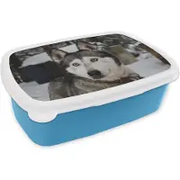 MuchoWow Broodtrommel Blauw - Lunchbox - Brooddoos - Husky - Sneeuw - Kop - 18x12x6 cm - Kinderen - Jongen